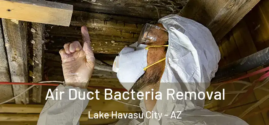 Air Duct Bacteria Removal Lake Havasu City - AZ