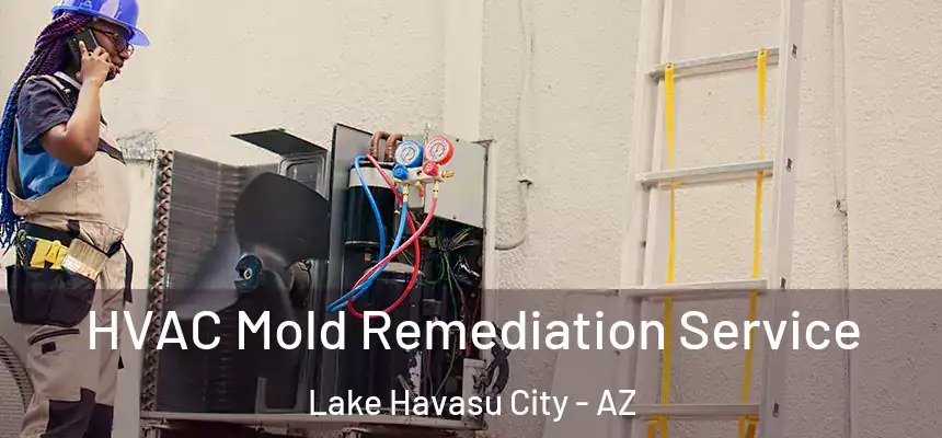 HVAC Mold Remediation Service Lake Havasu City - AZ