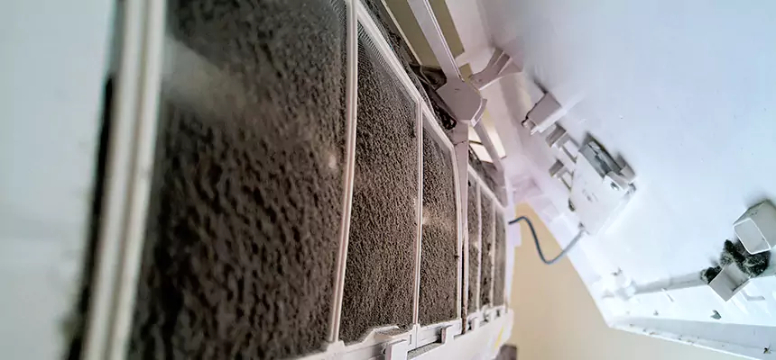 Preventive Air Duct Bacteria Removal in Lake Havasu City