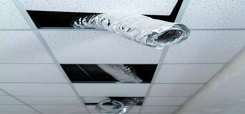 Affordable HVAC Sanitizing After Pest Removal in Lake Havasu City