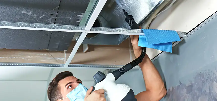 Our Air Duct Rodent Removal Services in Lake Havasu City, AZ