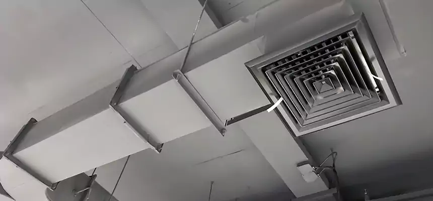 Restorative Allergy Relief Vent Cleaning – Coil, Blower & Housing Detail in Lake Havasu City