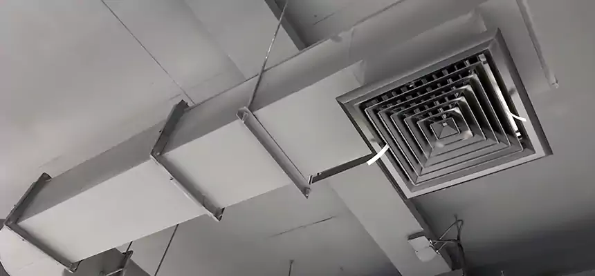 Our Pest Removal From Ducts Services in Lake Havasu City, AZ