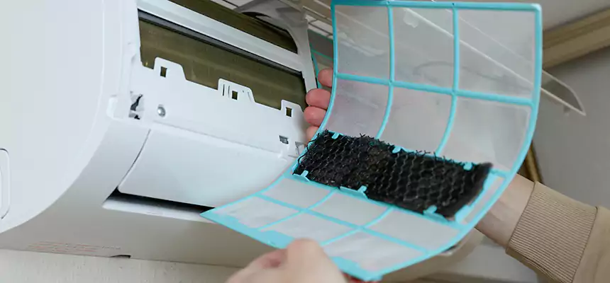 Gentle Ductwork Odor-Control Pet Dander Duct Cleaning in Lake Havasu City, AZ