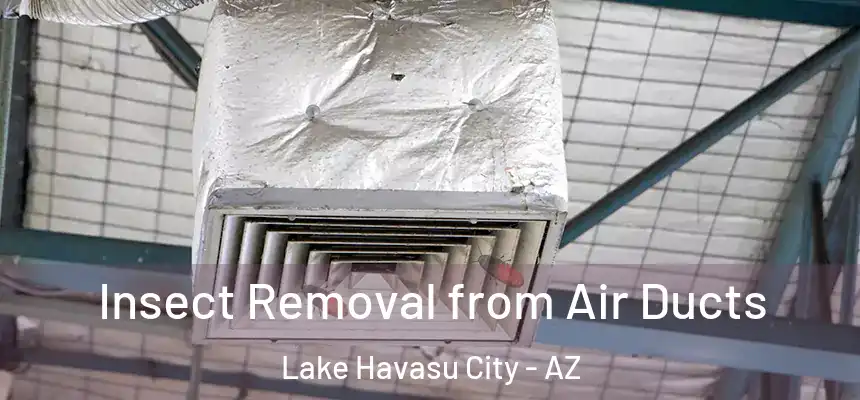  Insect Removal from Air Ducts Lake Havasu City - AZ