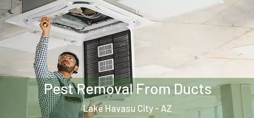 Pest Removal From Ducts Lake Havasu City - AZ