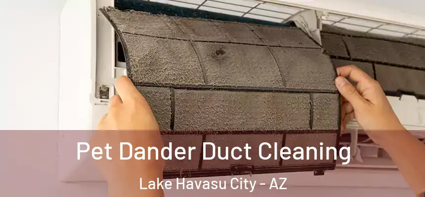  Pet Dander Duct Cleaning Lake Havasu City - AZ