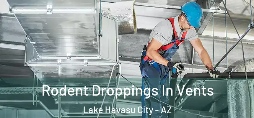  Rodent Droppings In Vents Lake Havasu City - AZ