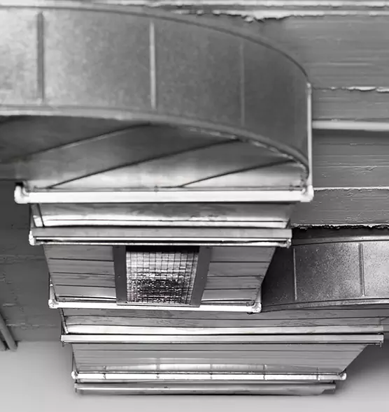 Professional Air Duct Pest Removal in Lake Havasu City, AZ