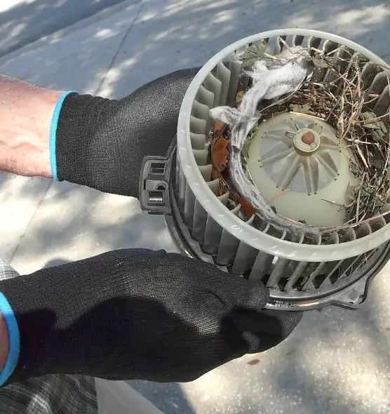 About Air Duct Rat Removal in Lake Havasu City, AZ