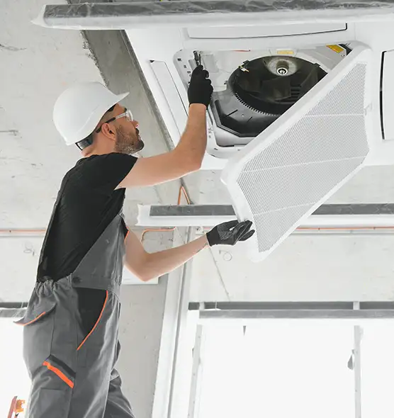 About Air Duct Rodent Removal in Lake Havasu City, AZ