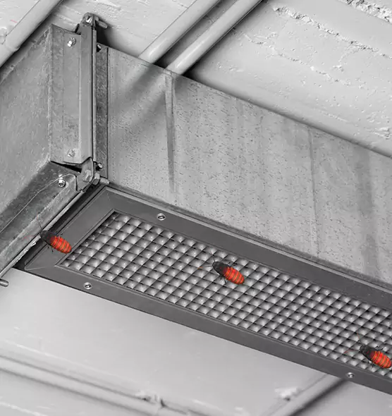 Affordable Insect Removal from Air Ducts in Lake Havasu City, AZ