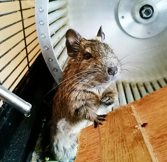 Why Homeowners & Businesses Trust Us Lake Havasu City, AZ