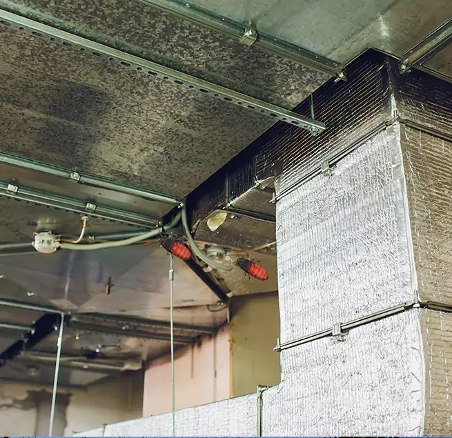 Why Homeowners & Businesses Trust Us Lake Havasu City, AZ?